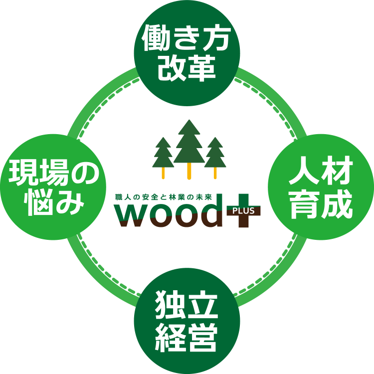 wood_f_bnm